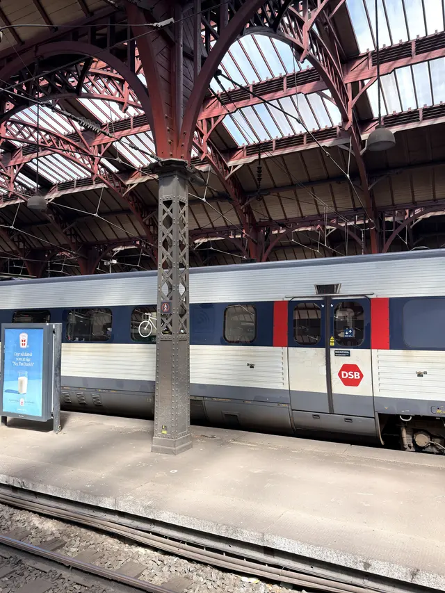 A riveted iron column on the platform, carrying the timber roof above it.