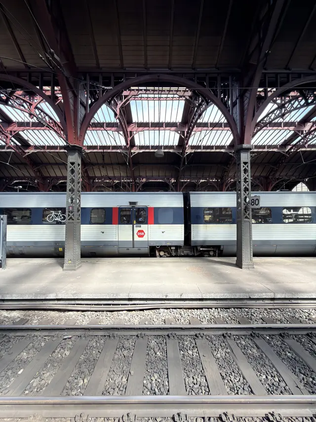 Two riveted iron columns carrying the red-painted timber arches and the glazing between them.