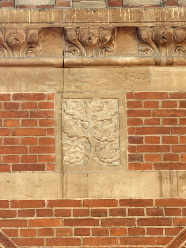 A flat sandstone panel of lobed oak leaves and acorns, set flush in the brickwork.