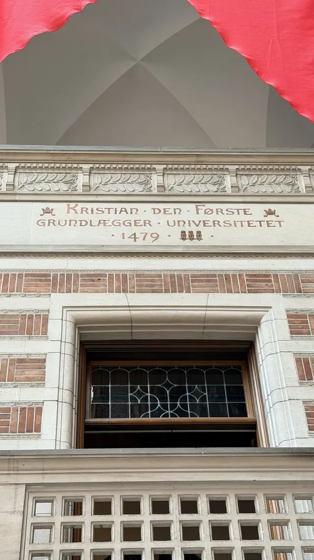 Billede af krønike felt universitet 1479 i den store hal, i natursten, tegl, mørtel og træ.
