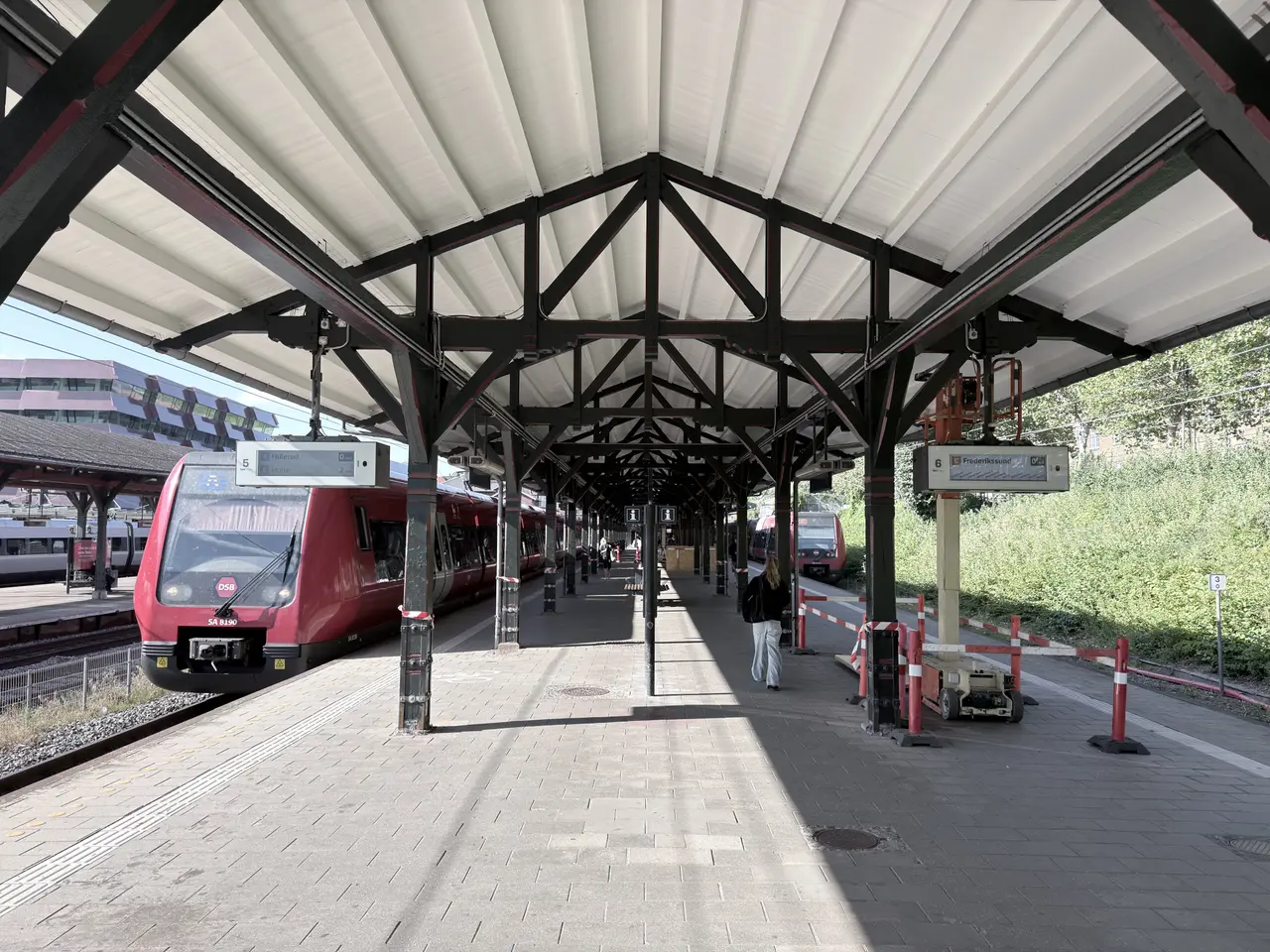 A timber platform canopy whose posts branch into braces under a white roof.
