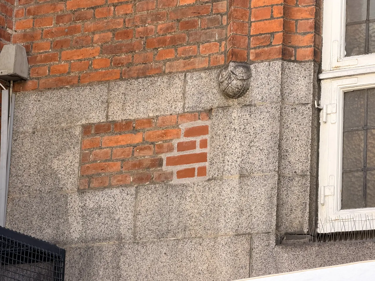 Et hvælvet, huget skjold i granitbåndet, uden hoved, fødder eller hale.
