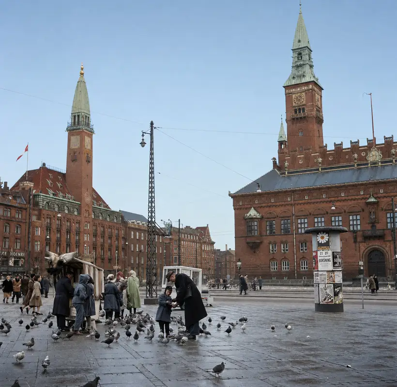 1954 · Duefodring på Rådhuspladsen